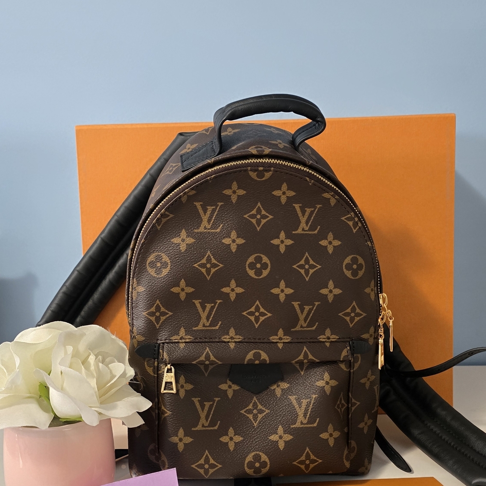 BRAND NEW Louis Vuitton Monogram PM Backpack